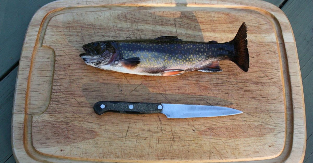 how to fillet a trout