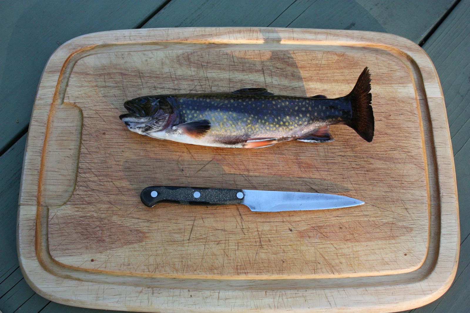 how to fillet a trout